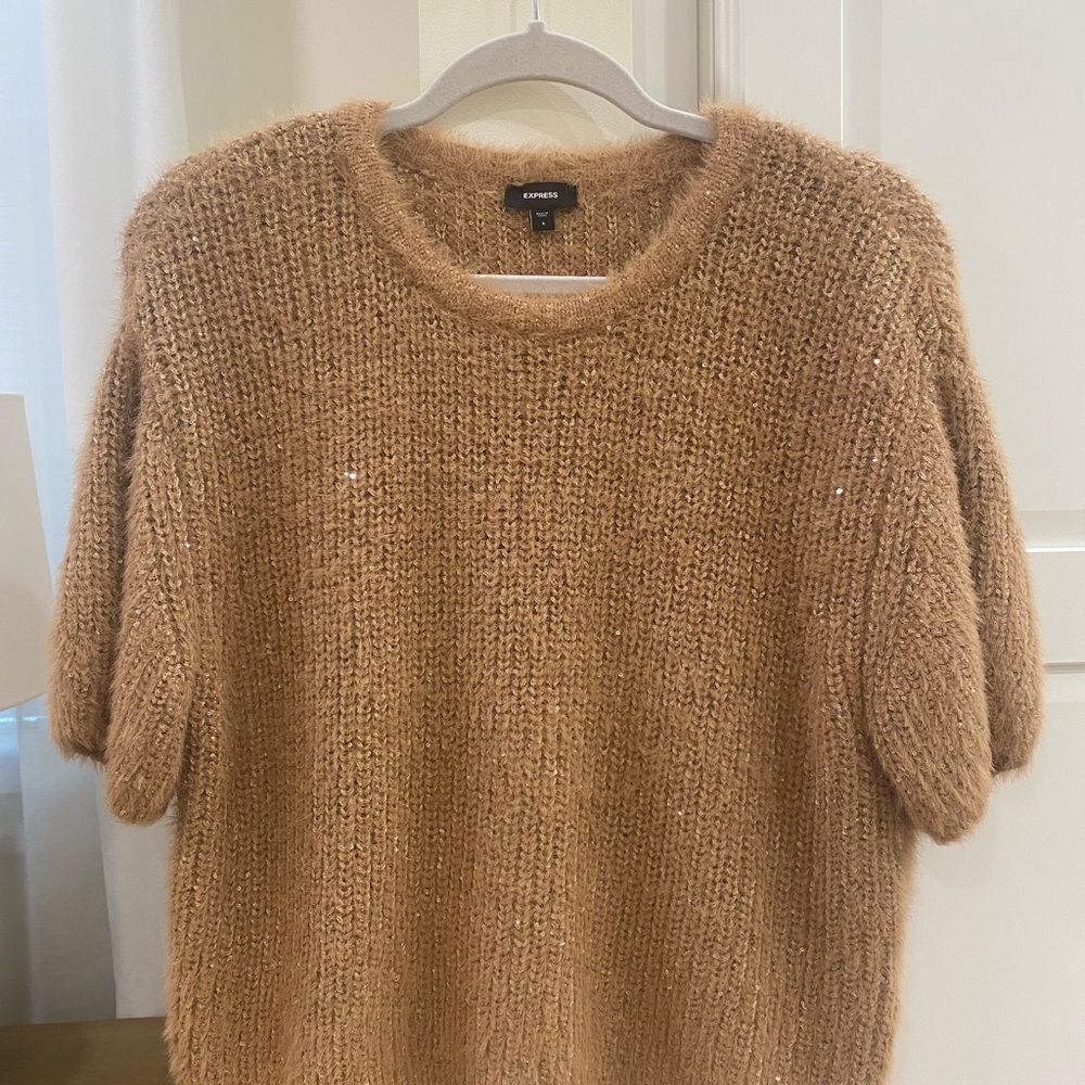 Express Warm Tan sparkle Sweater